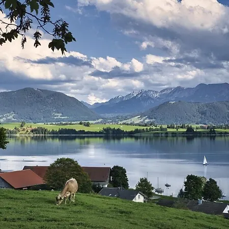 Apartment Ferienwohnung Saeulingblick *